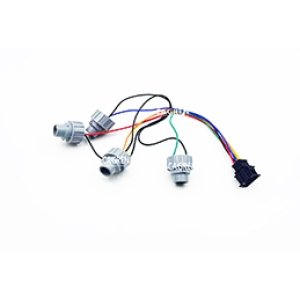 OEM Russian customer customized lamp socket wiring harness AG-X1031