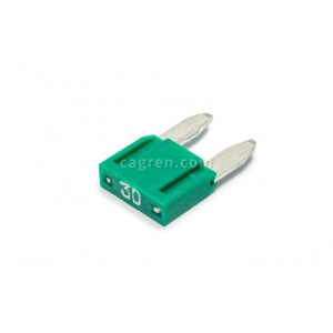 CAG86130A Fuse MINIVAL 30A