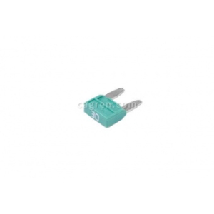 CAG80130A Fuse MINIVAL 30A (0700170)