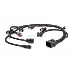 21129372403620 Nozzle harness for Lada X-Ray vehicles with VAZ-21129 engine 1.6l., 16V, 106 hp