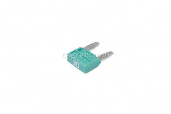 CAG80130A Fuse MINIVAL 30A (0700170)