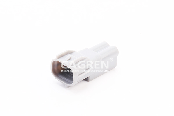 6188-0624 2 way automotive plug CAG7025B-2.2-11